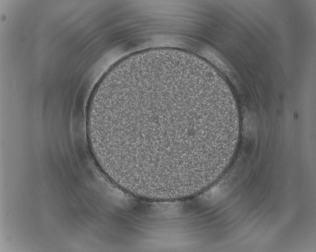 X0000076100836200610061704