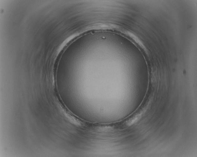 X0000076100837200610061704