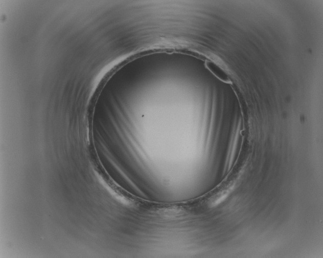 X0000076100838200610061704