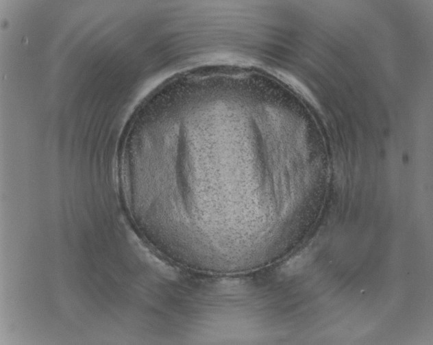 X0000076100839200610061704