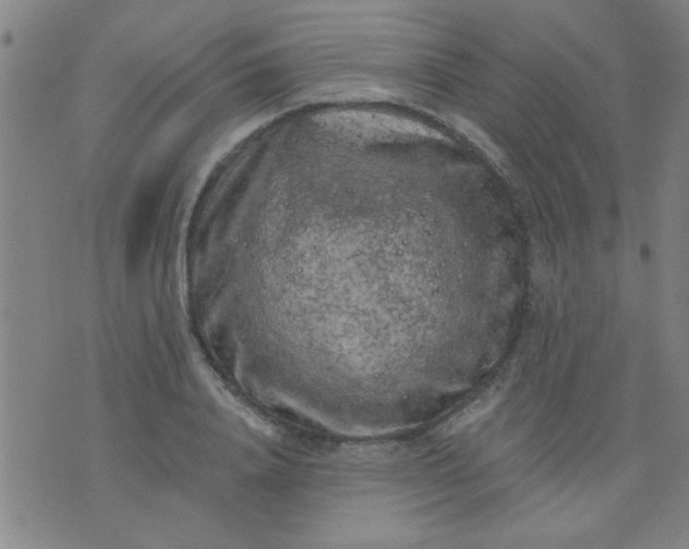 X0000076100840200610061704