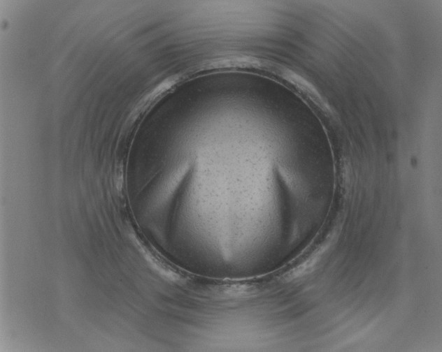 X0000076100841200610061704