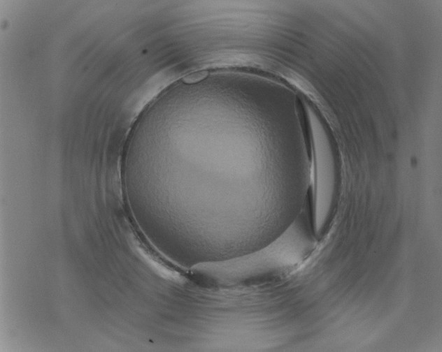 X0000076100842200610061704