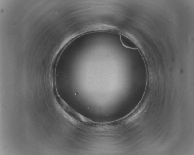 X0000076100843200610061704