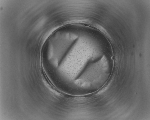 X0000076100844200610061705