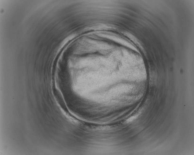 X0000076100845200610061705