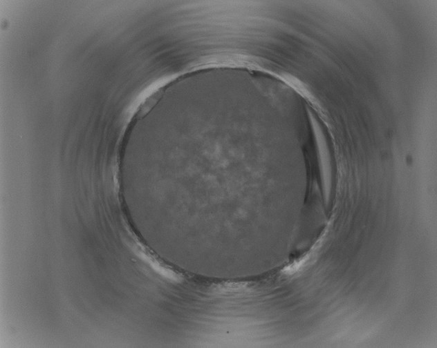 X0000076100846200610061705