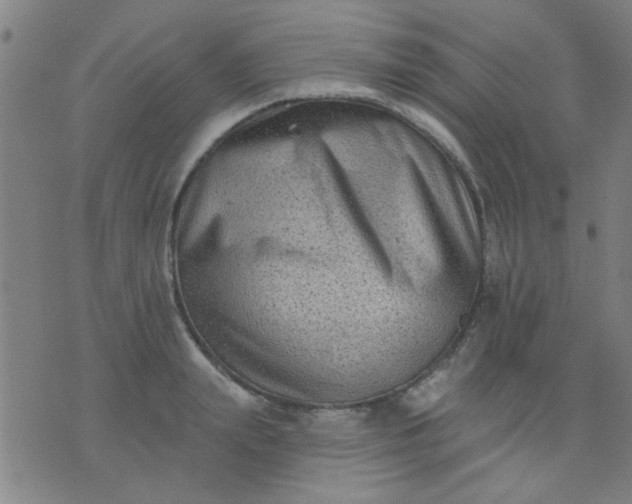 X0000076100847200610061705