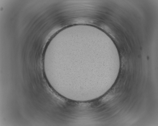 X0000076100848200610061705