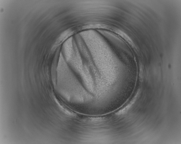 X0000076100849200610061705