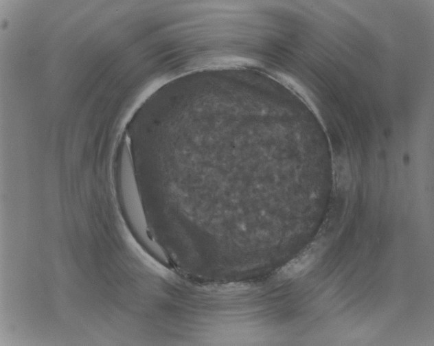 X0000076100851200610061705