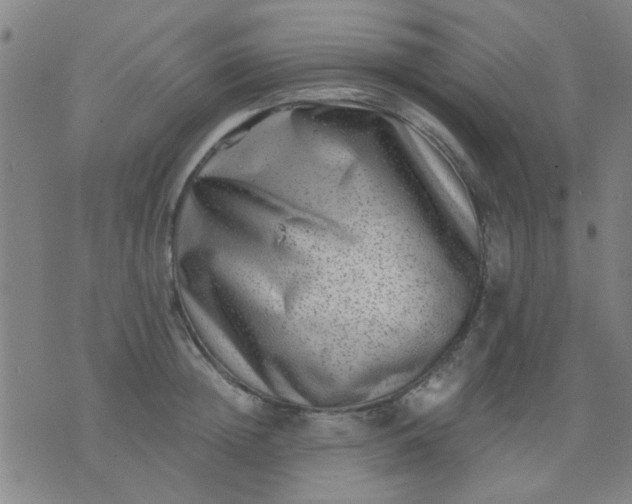 X0000076100852200610061705