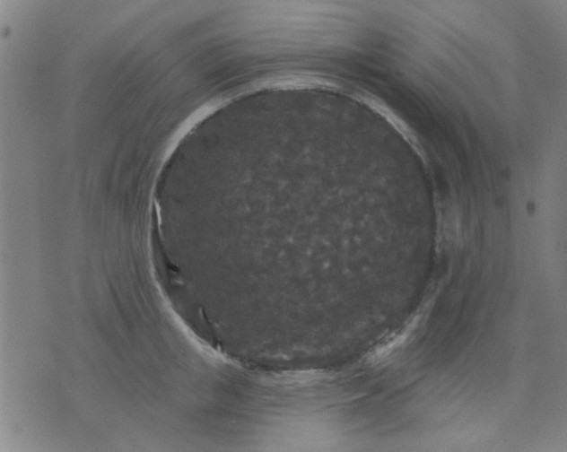 X0000076100853200610061705