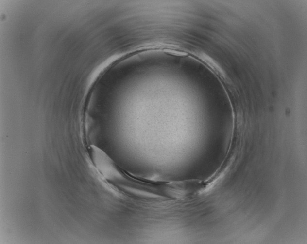 X0000076100854200610061705