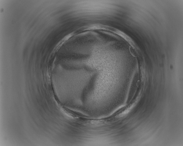 X0000076100857200610061705