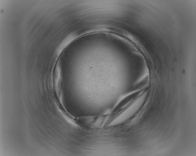 X0000076100858200610061705