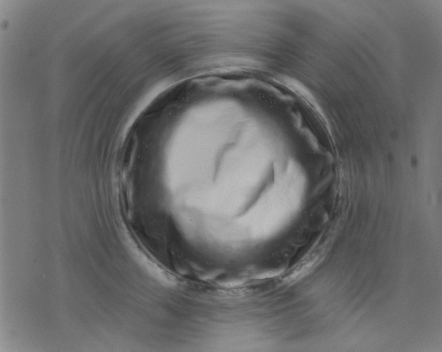 X0000076100859200610061705