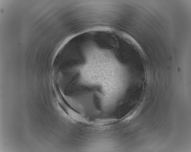 X0000076100860200610061705