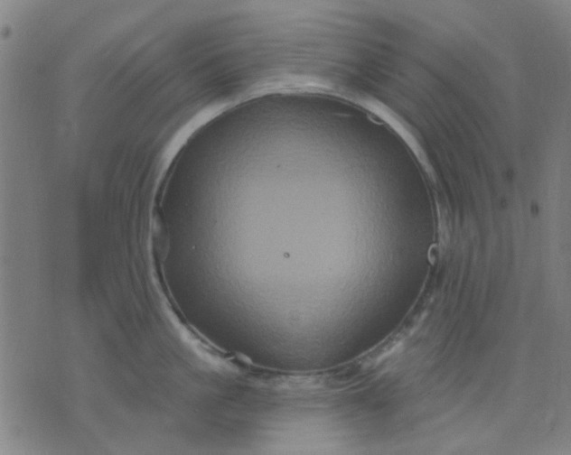 X0000076100861200610061705