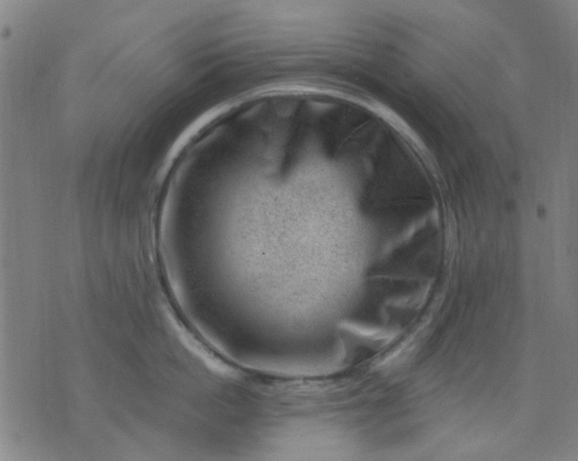 X0000076100862200610061705