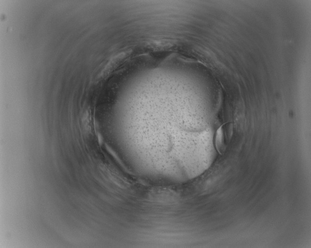 X0000076100866200610061704