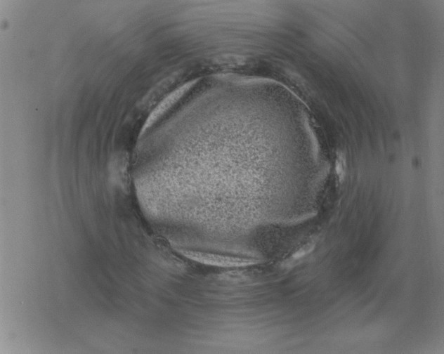 X0000076100867200610061704