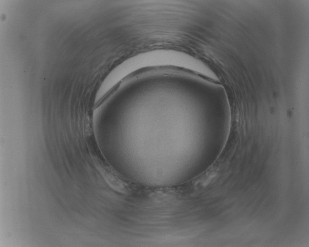 X0000076100868200610061704