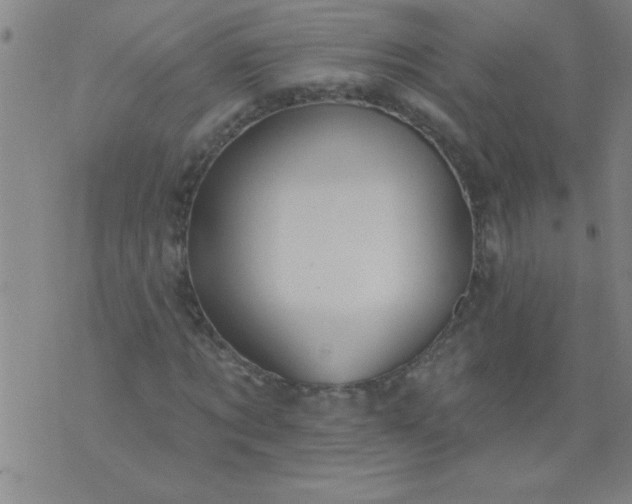 X0000076100869200610061704