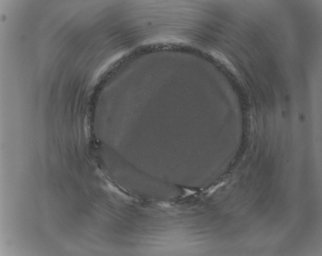 X0000076100872200610061704