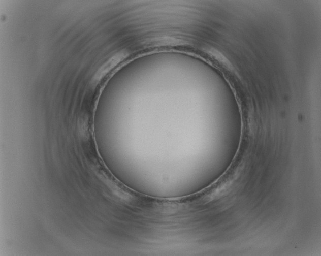 X0000076100873200610061704