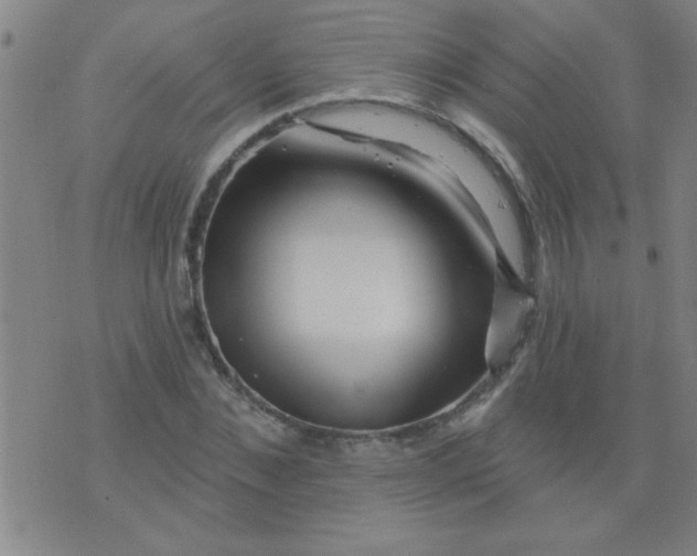 X0000076100876200610061704