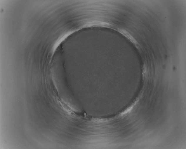 X0000076100877200610061704