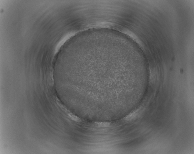 X0000076100878200610061704