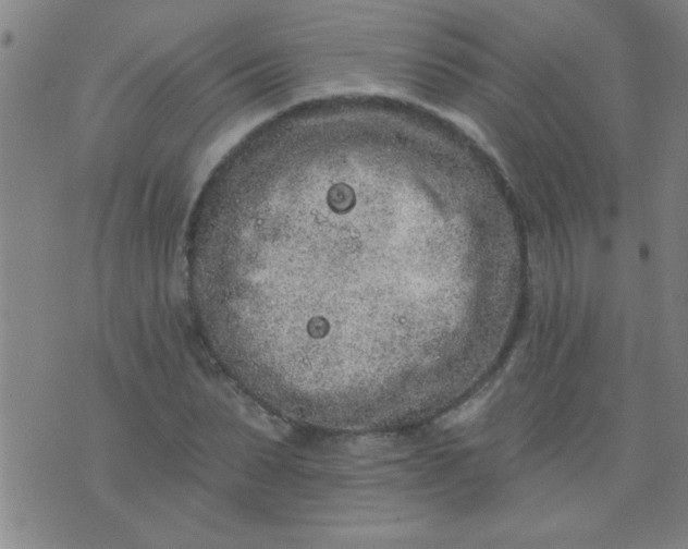 X0000076100879200610061704