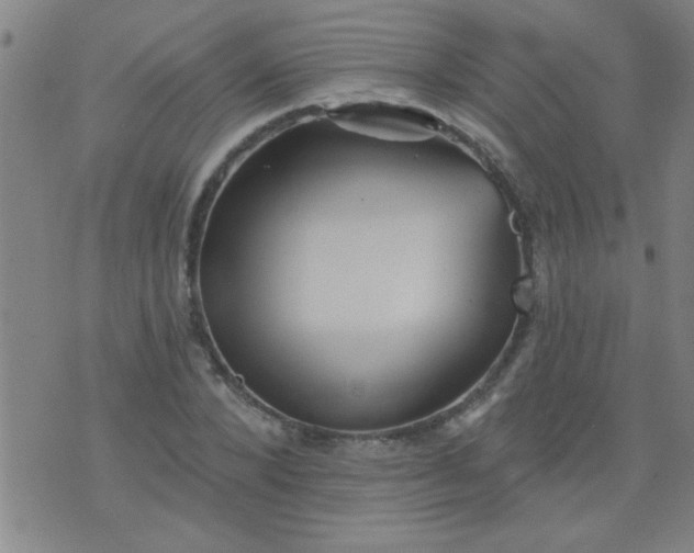 X0000076100880200610061704