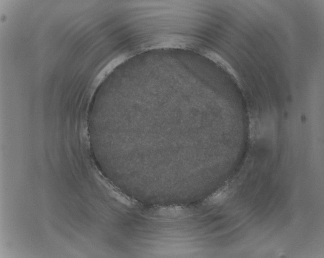 X0000076100882200610061704