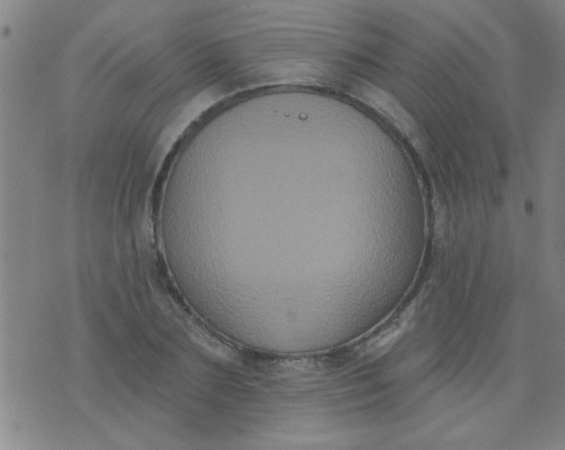 X0000076100883200610061704