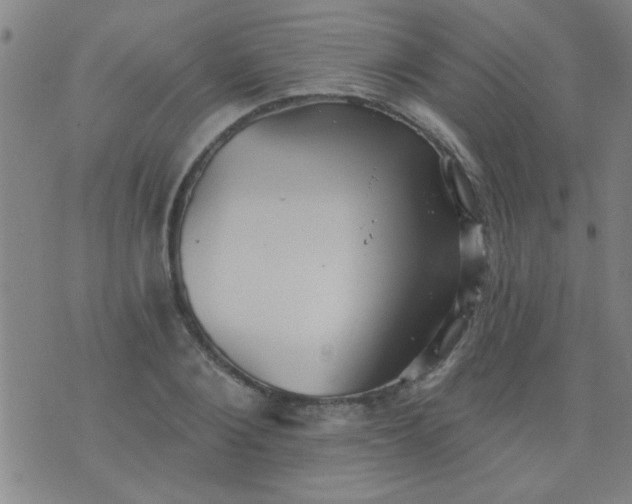 X0000076100884200610061704