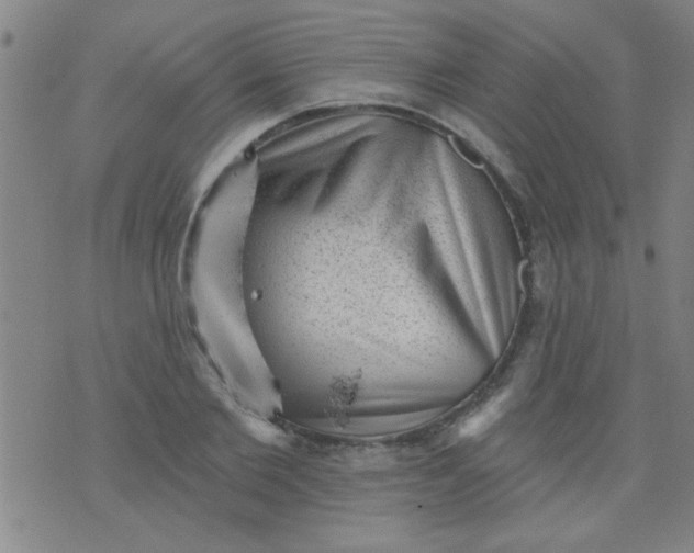 X0000076100885200610061704