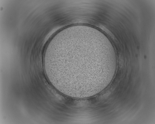 X0000076100886200610061704