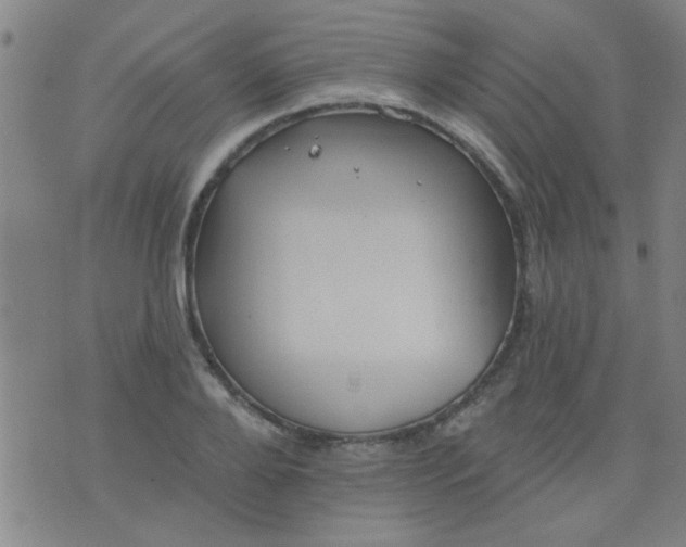 X0000076100888200610061704