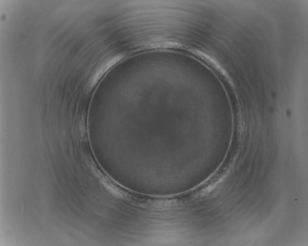 X0000076100889200610061704