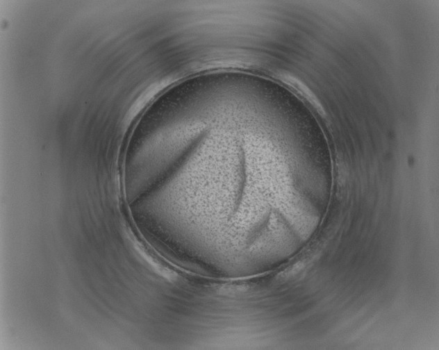 X0000076100890200610061704