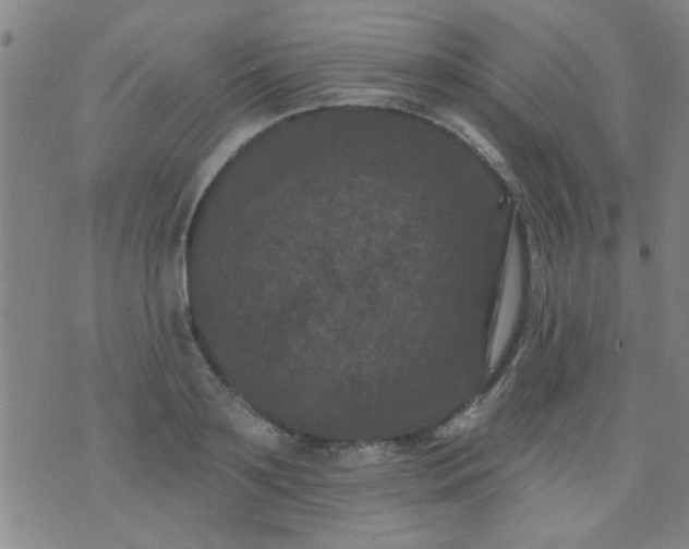 X0000076100891200610061704