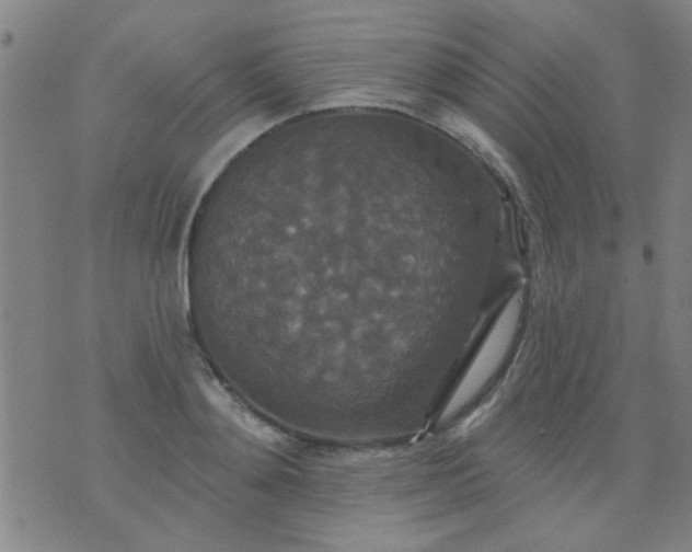 X0000076100892200610061704