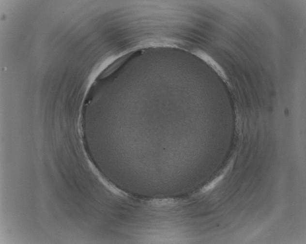 X0000076100893200610061704