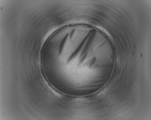 X0000076100894200610061704