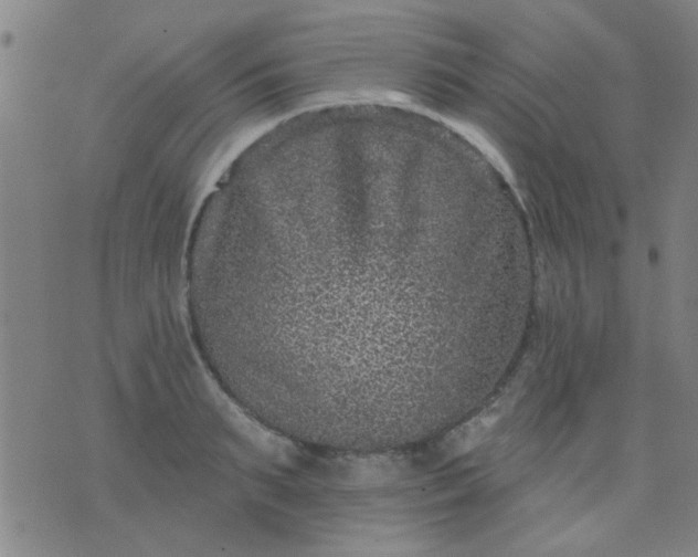 X0000076100895200610061704