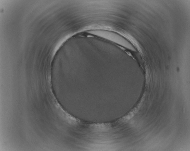 X0000076100896200610061704