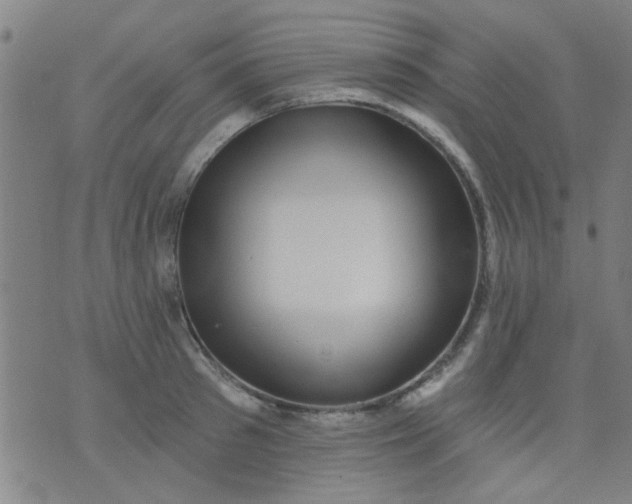 X0000076100897200610061704